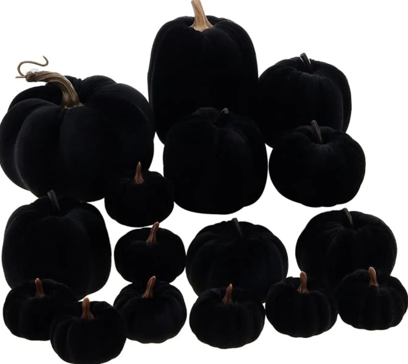 Black Velvet Pumpkins (Qty. 16) 