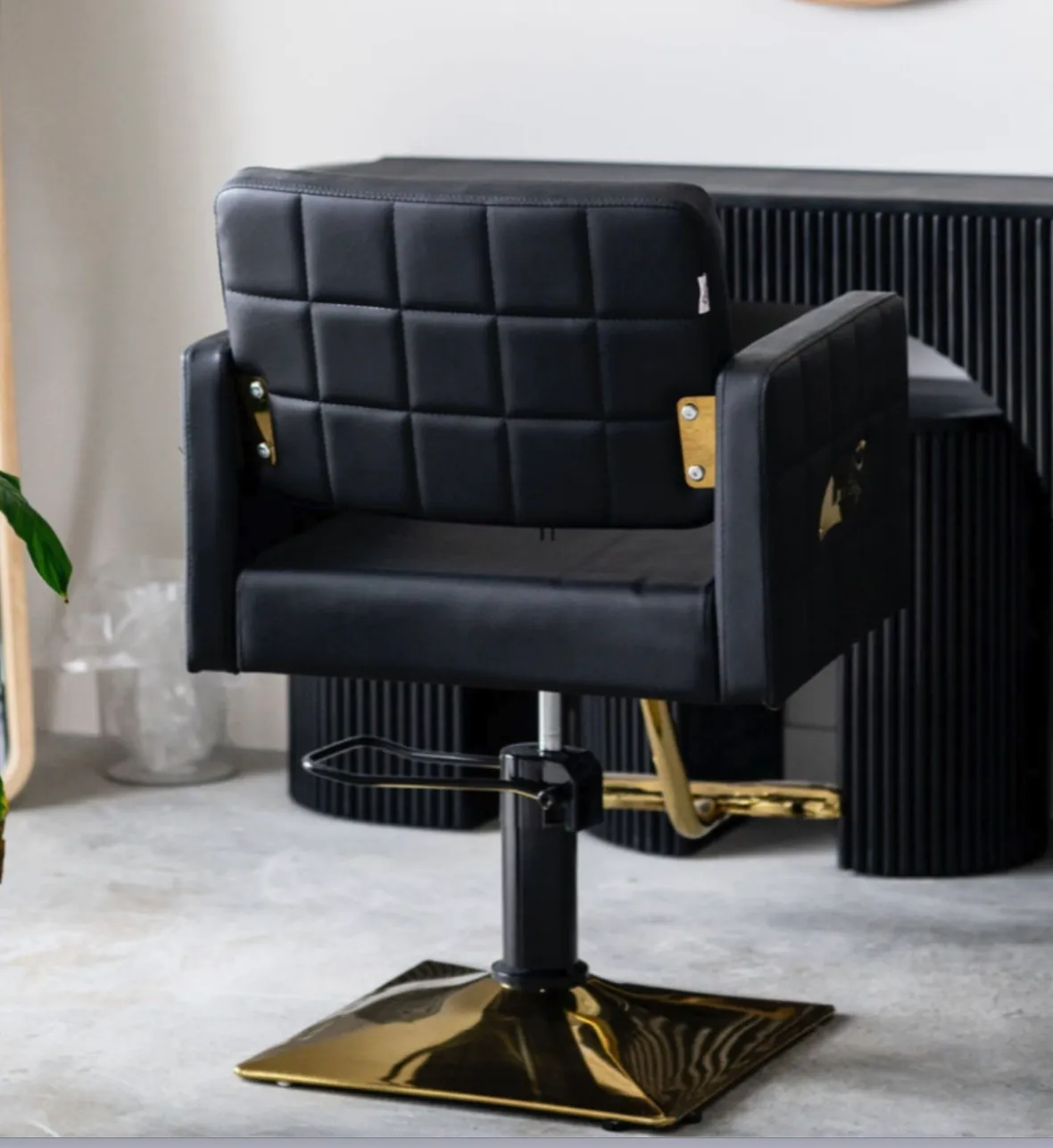 Black Beauty Chairs (Qty:2)