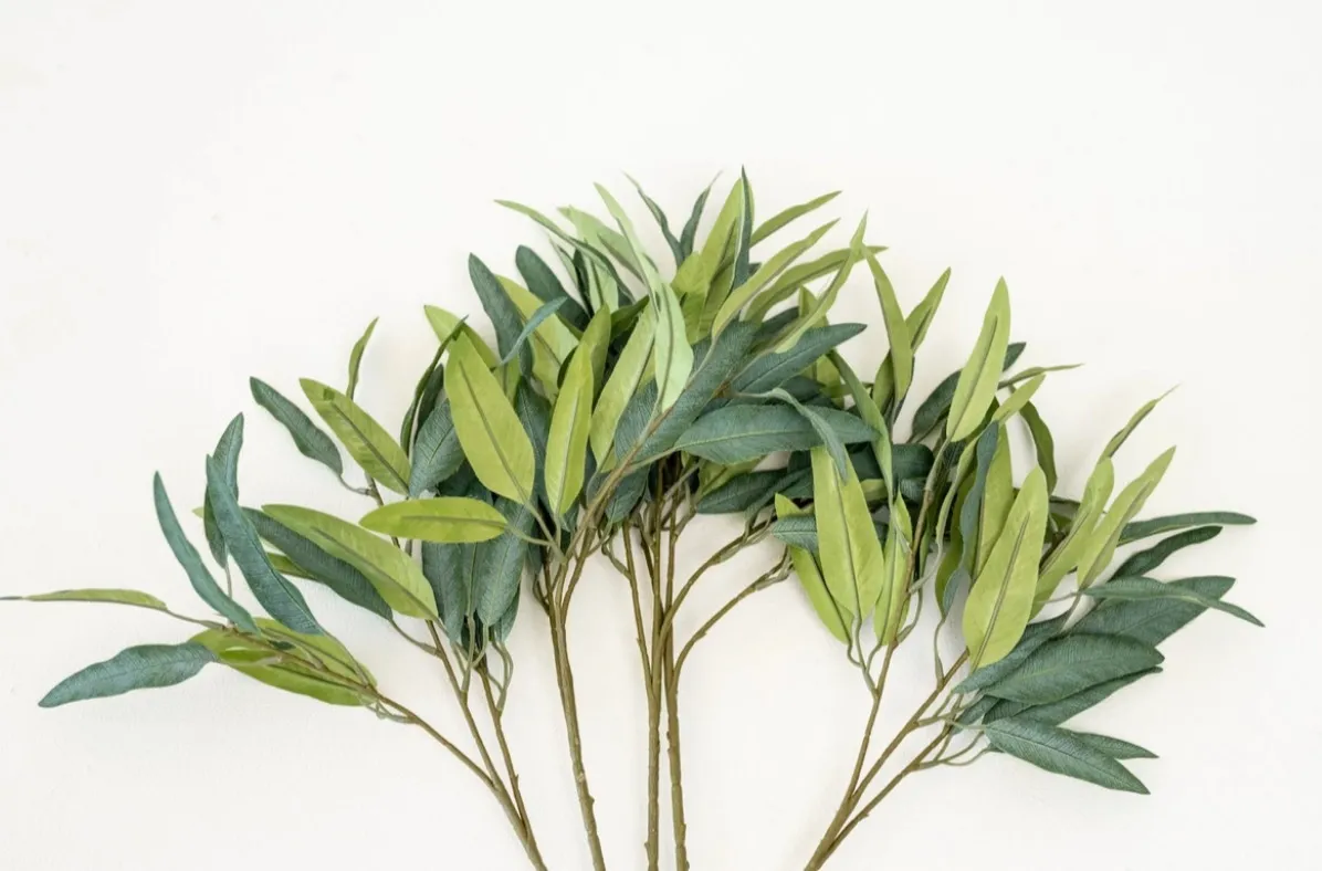 Large Leafy Stems