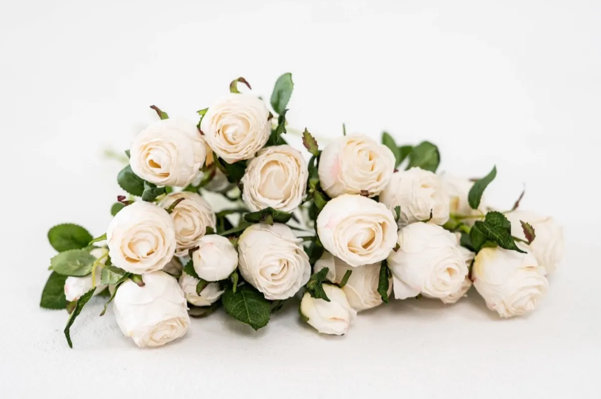 White Roses | Group A