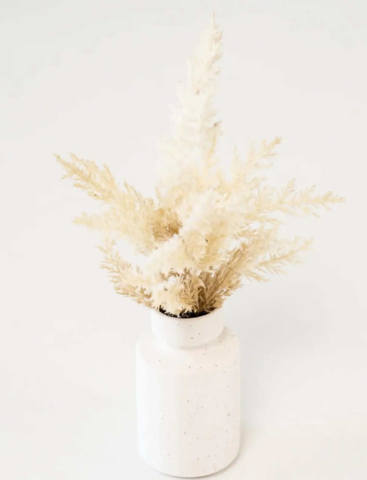 White Boho Plant (Small) 