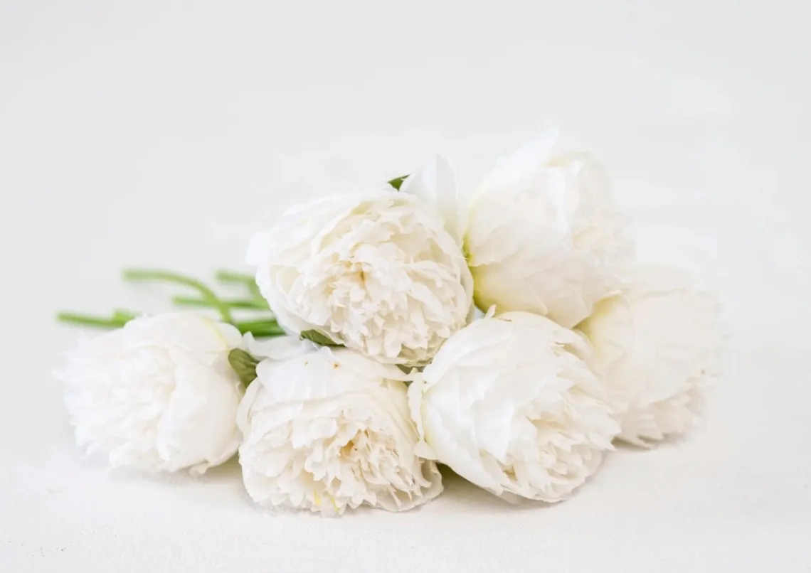 White Florals 