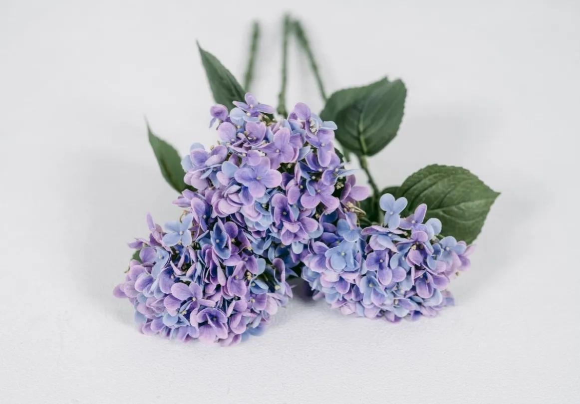 Purple Hydrangeas | Group B