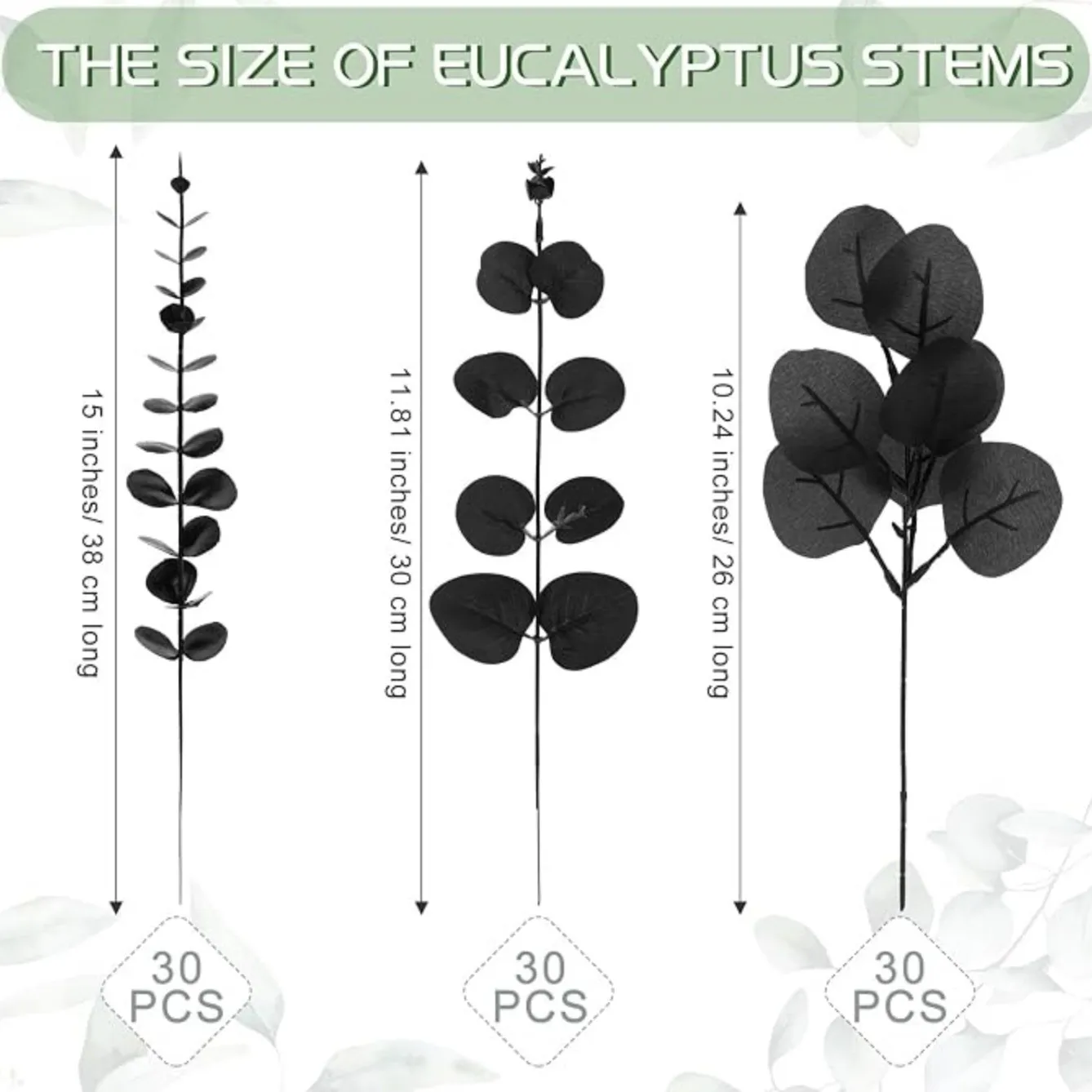 Black Eucalyptus Stems