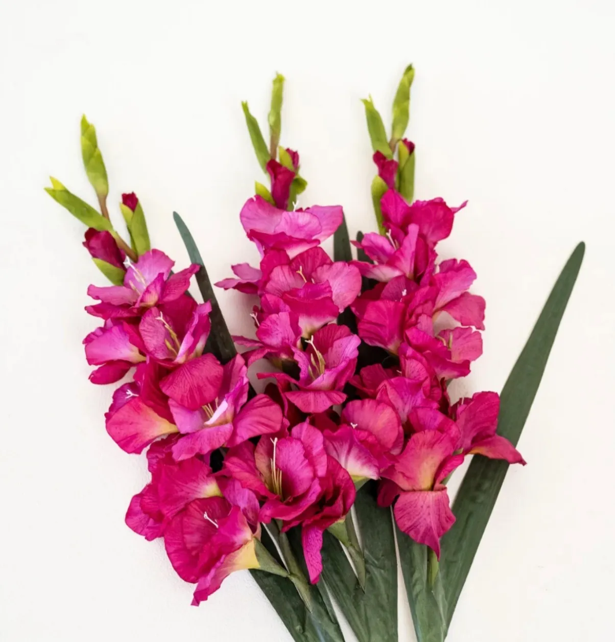 Pink Florals
