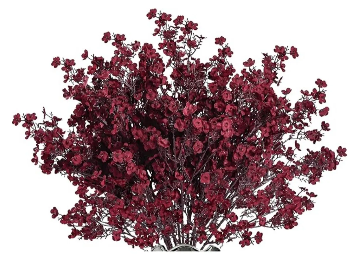 Burgundy Baby Breath