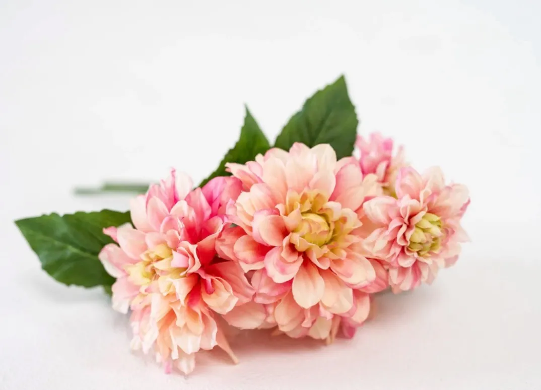 Pink Flowers