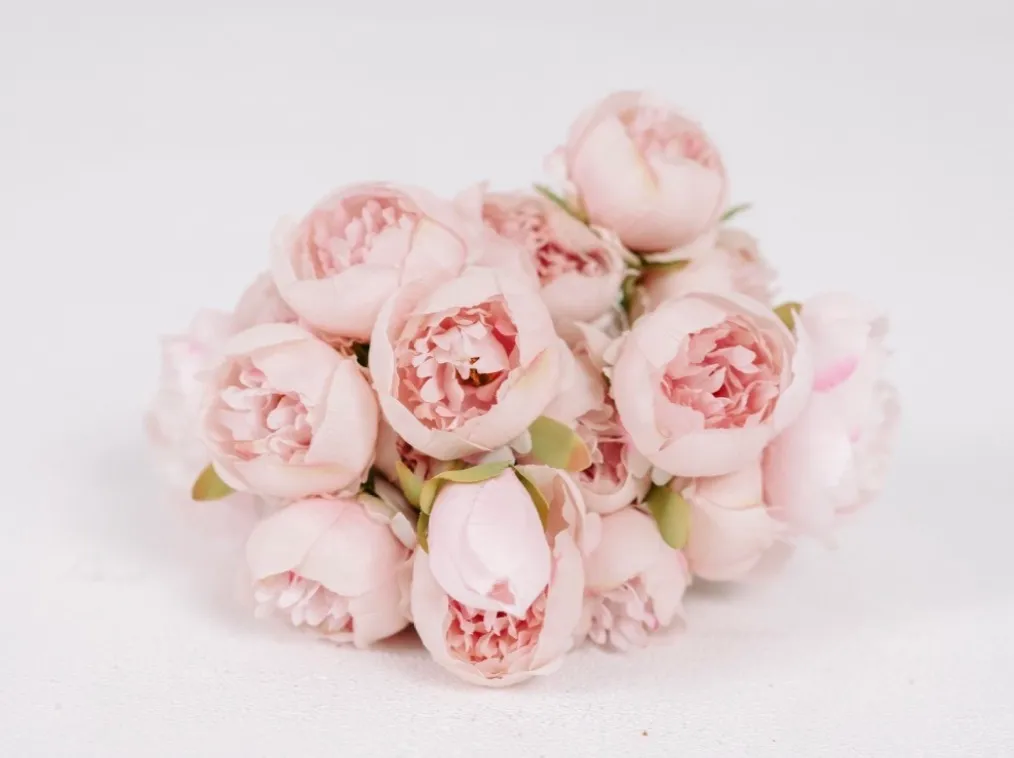 Pink Peony | Group B