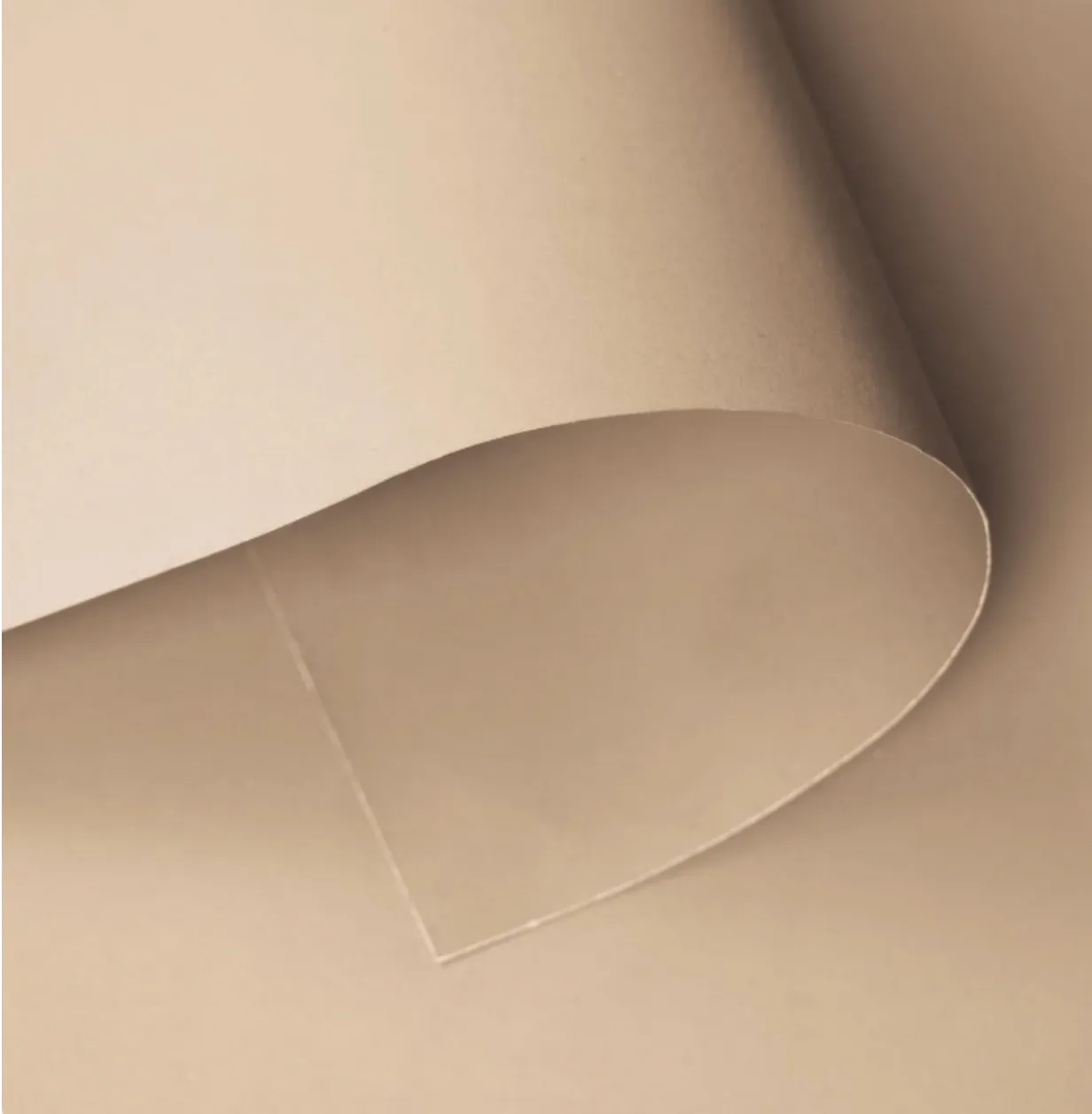 Malt Seamless Paper