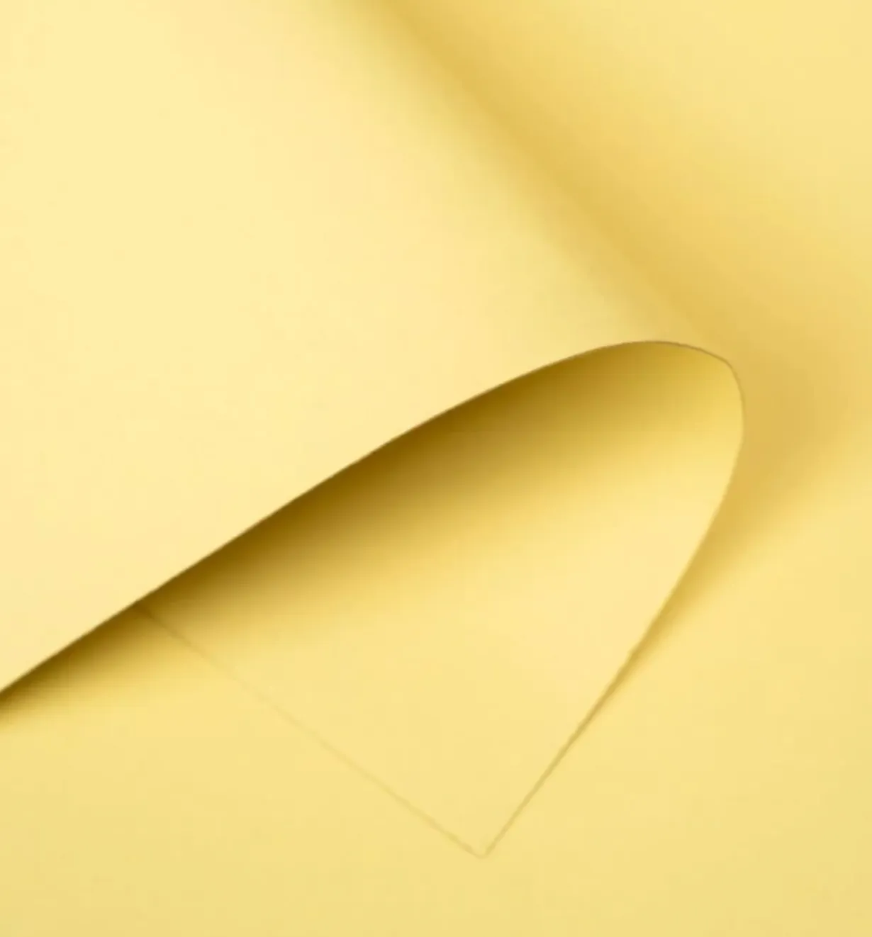 Cream Yellow Seamless Paper