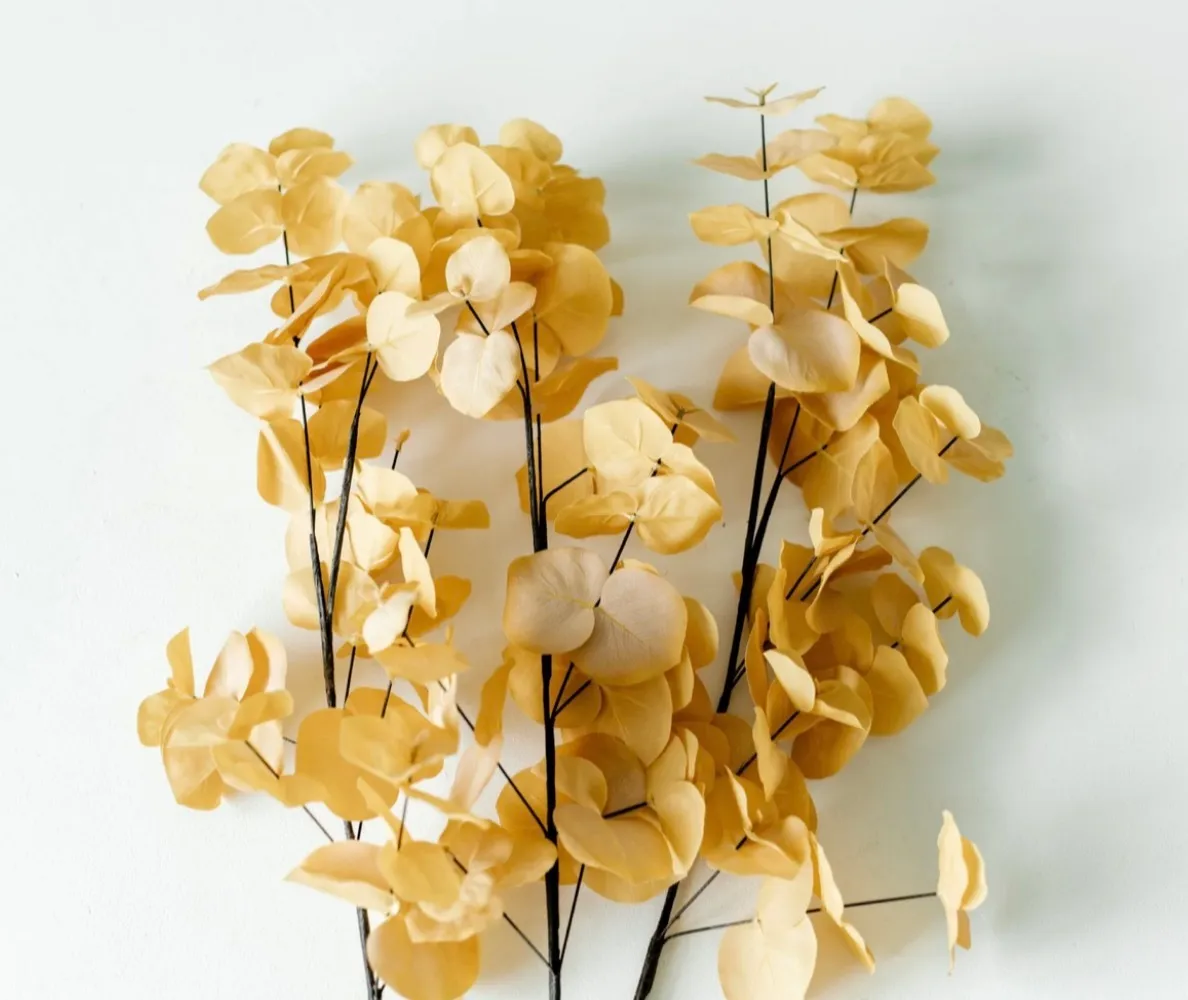 Pale Yellow Leafy Stems