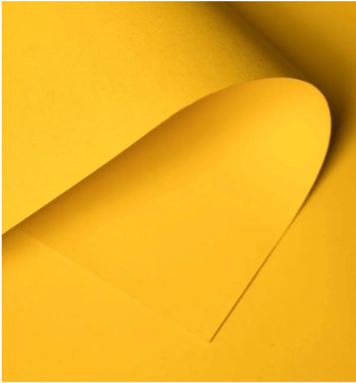 Forsythia Yellow Seamless Paper