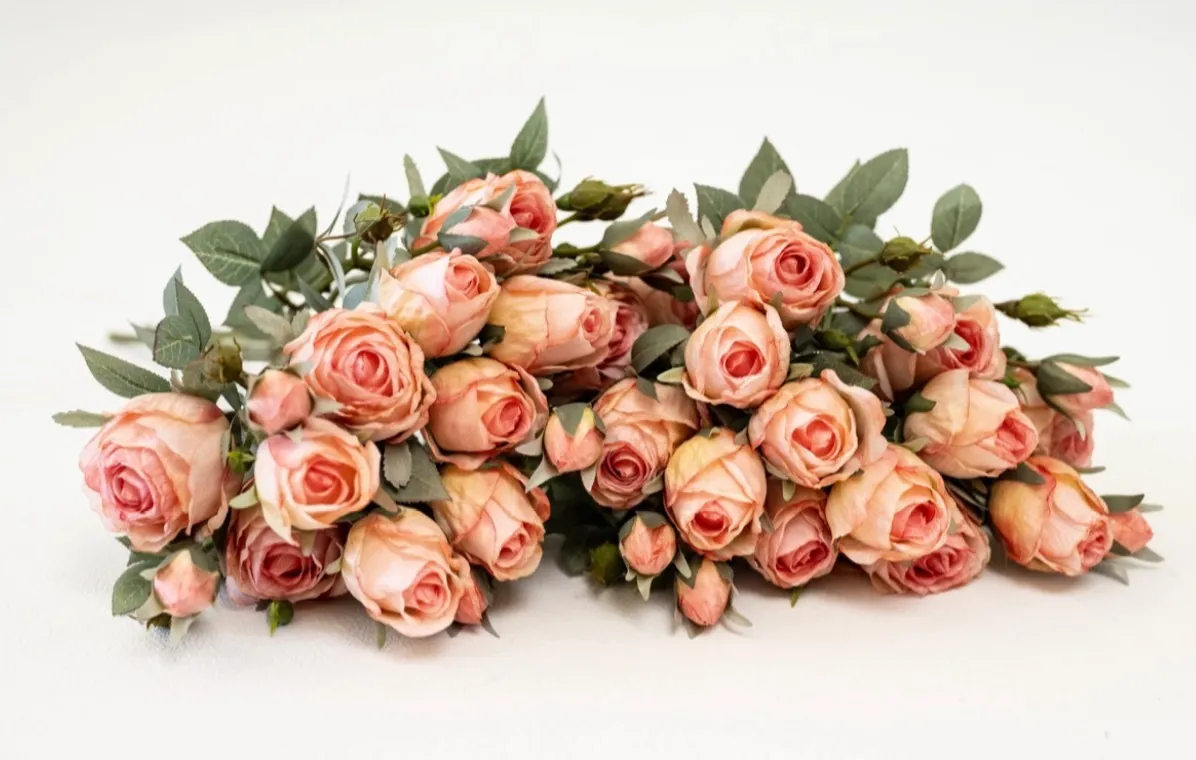 Peach Roses | Group B 