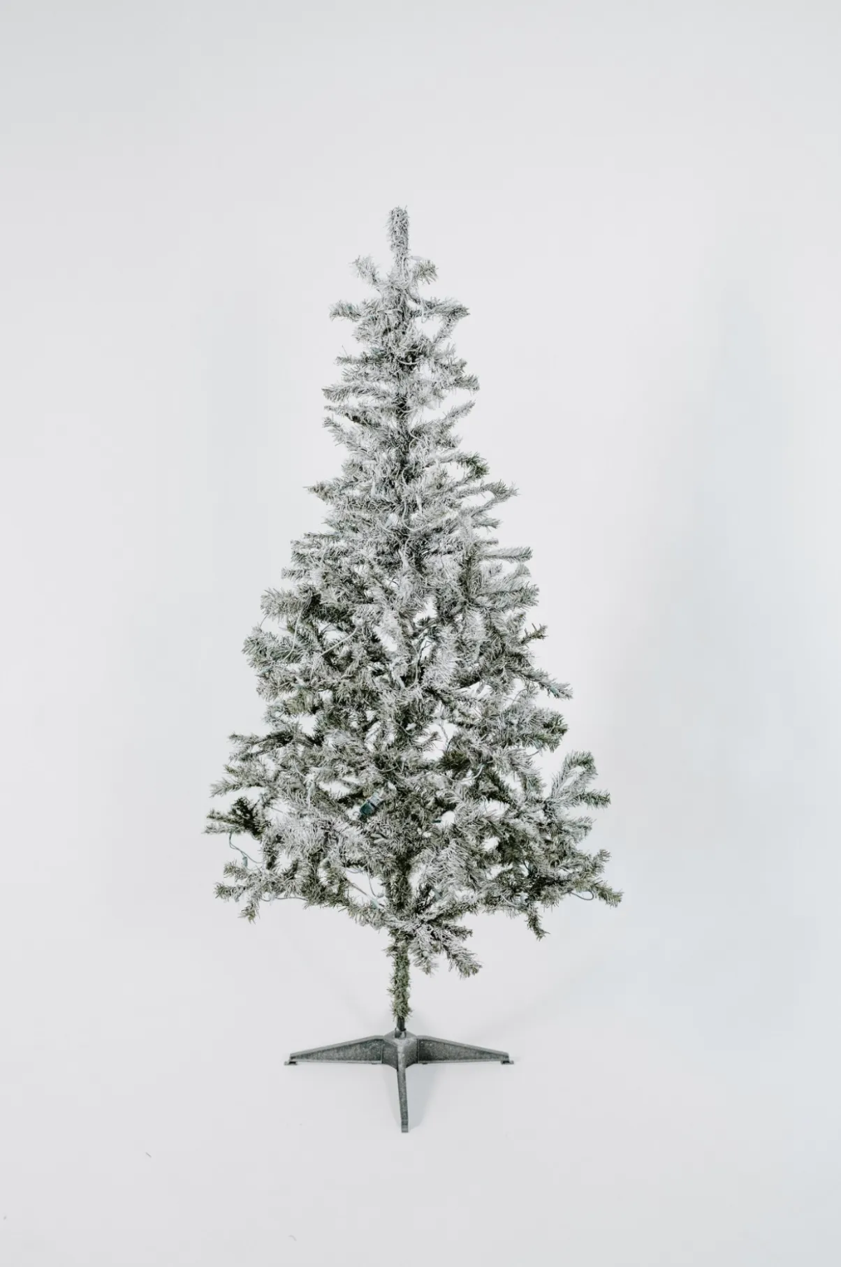 Christmas Tree (L)