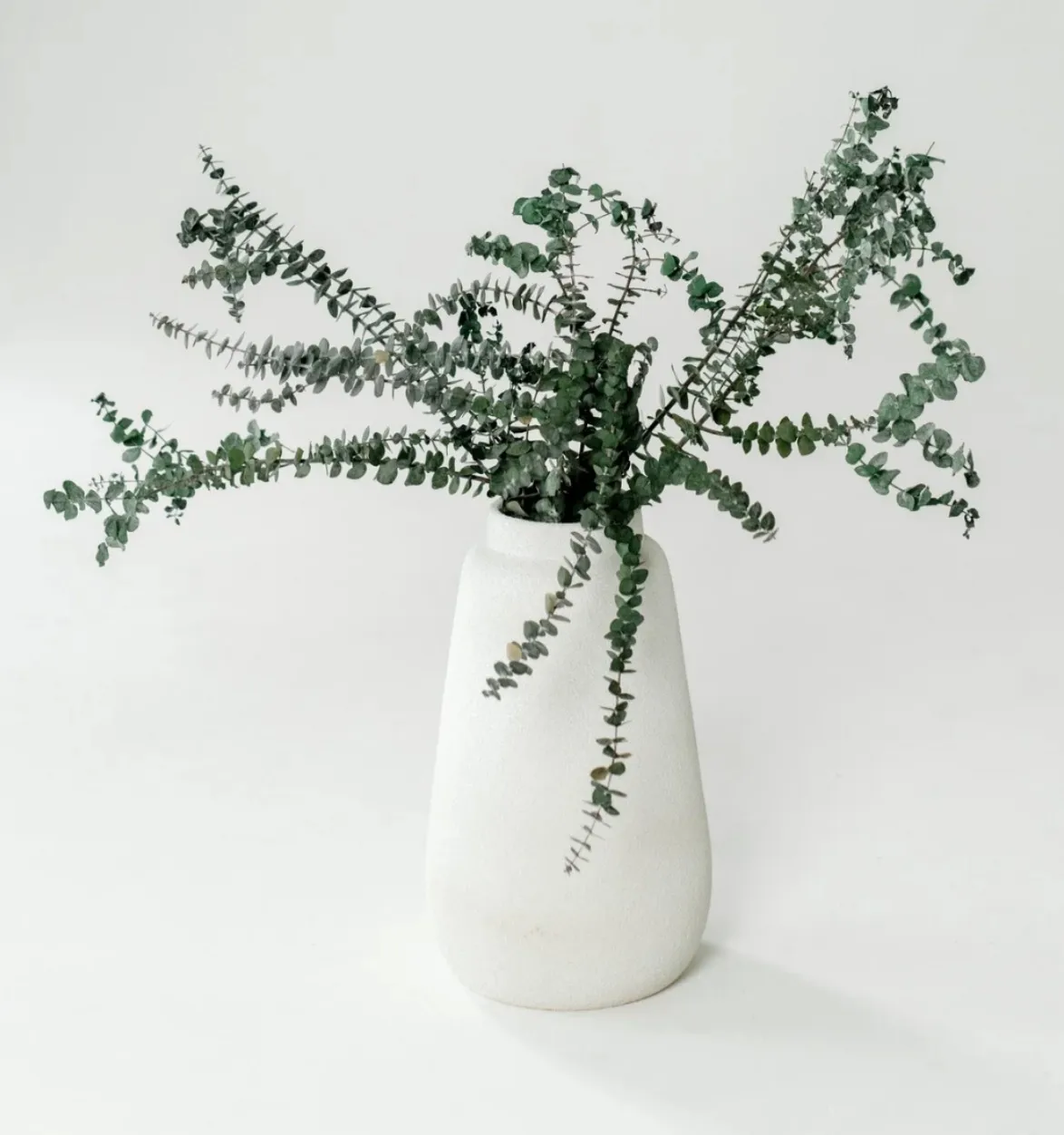 White Vase (Large) 