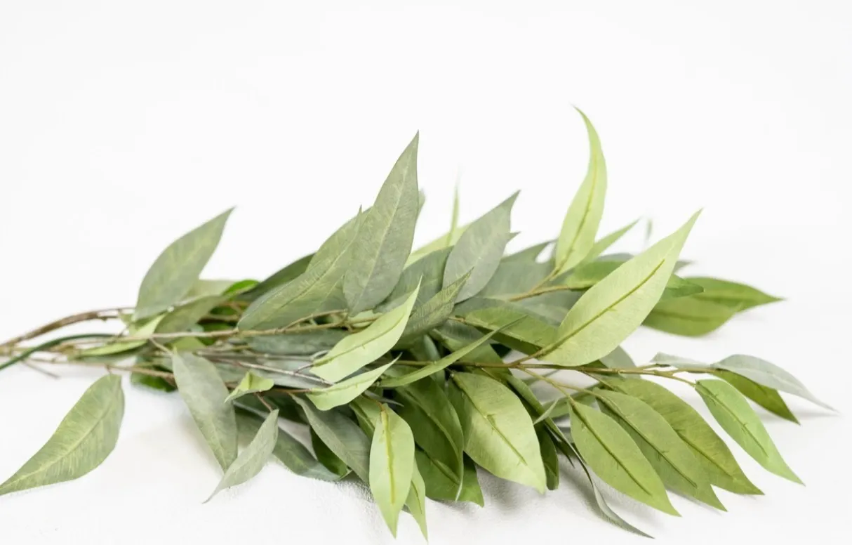 Green Leafy Stems
