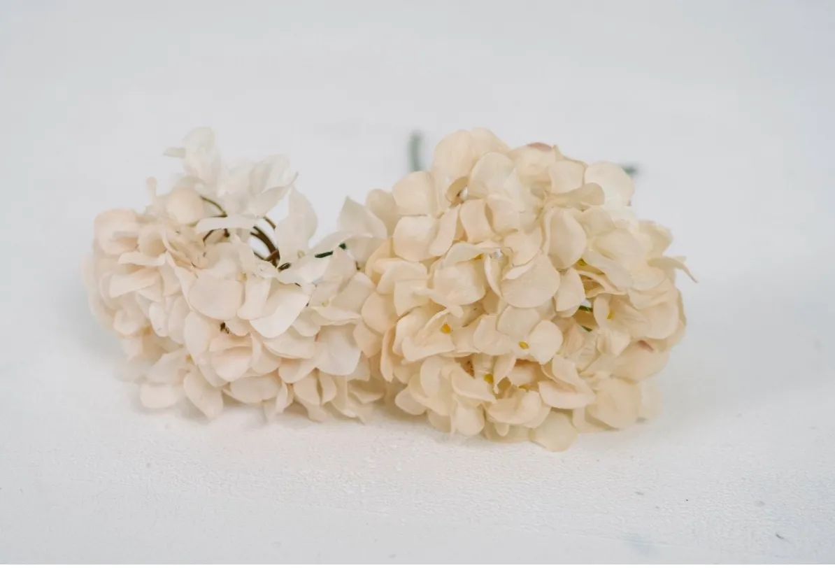 Off White Hydrangeas | Group A