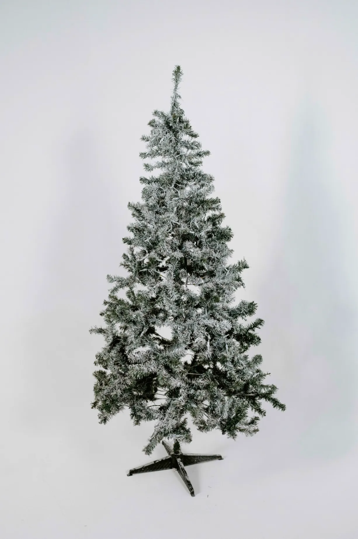 Christmas Tree (C)