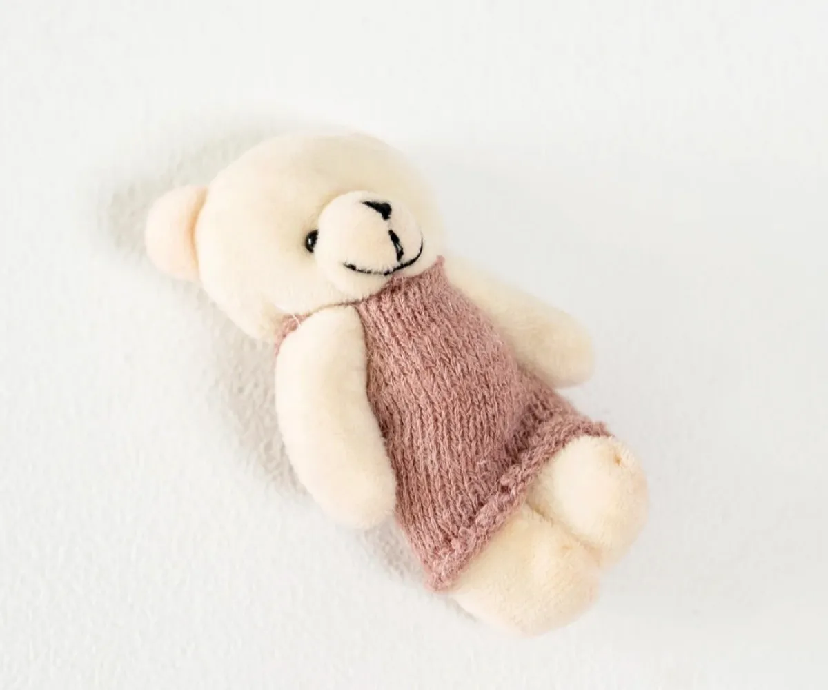 Mini Teddy Bear with Pink Dress
