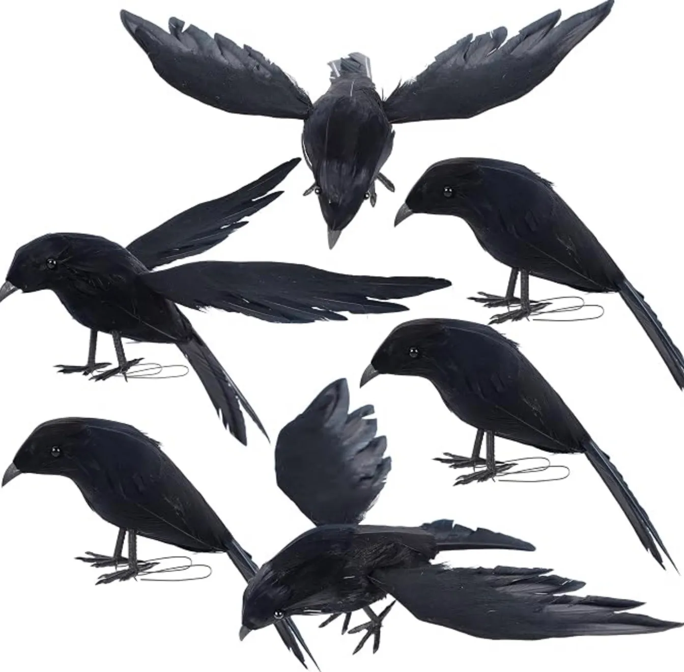 Black Ravens 