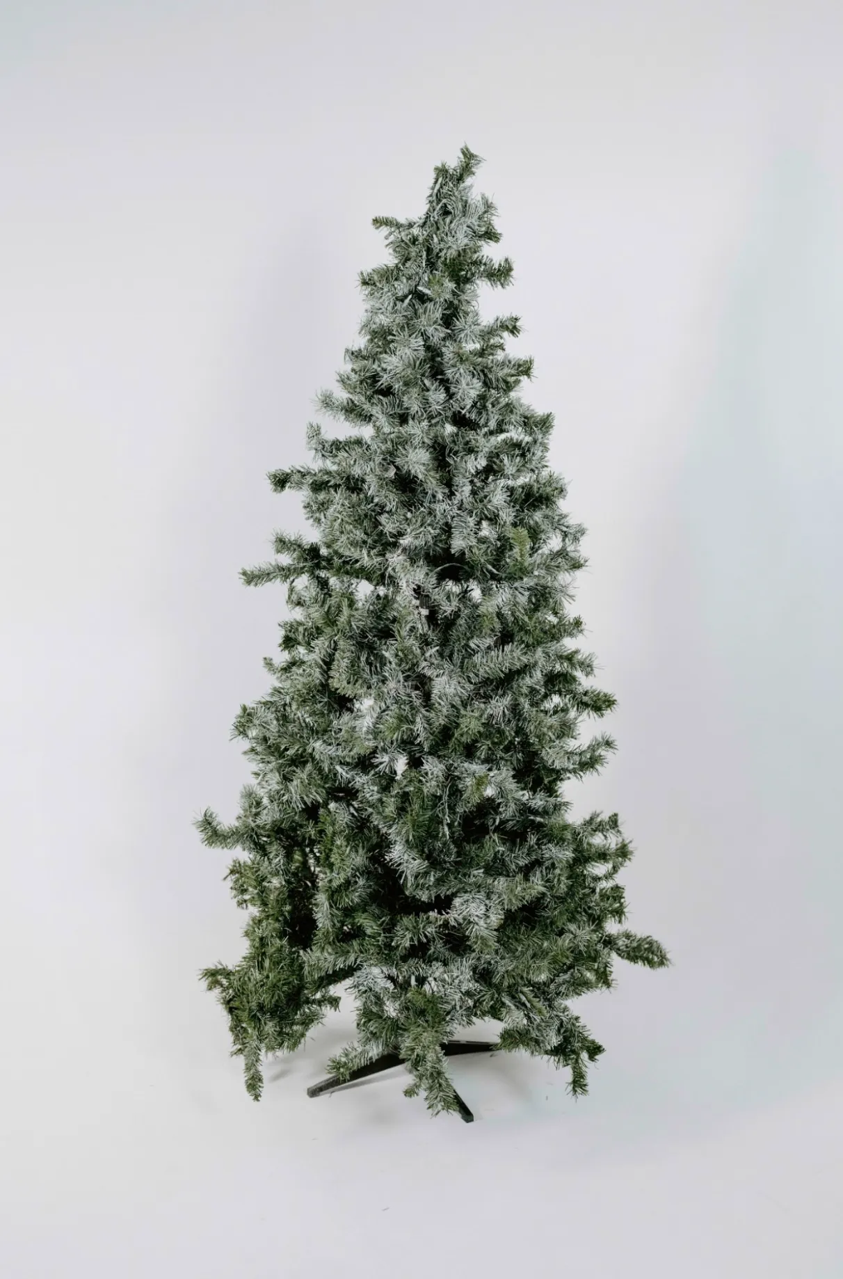 Christmas Tree (G)