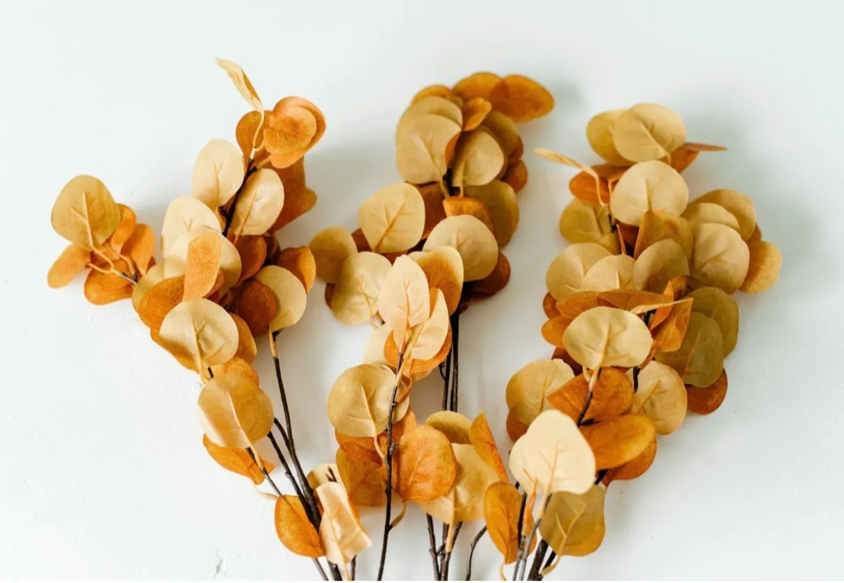 Yellow Leafy Stems