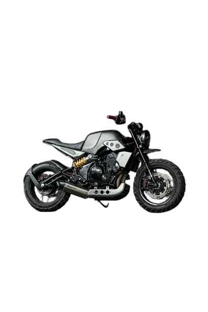 Kawasaki ER650 Scrambler Alumunium