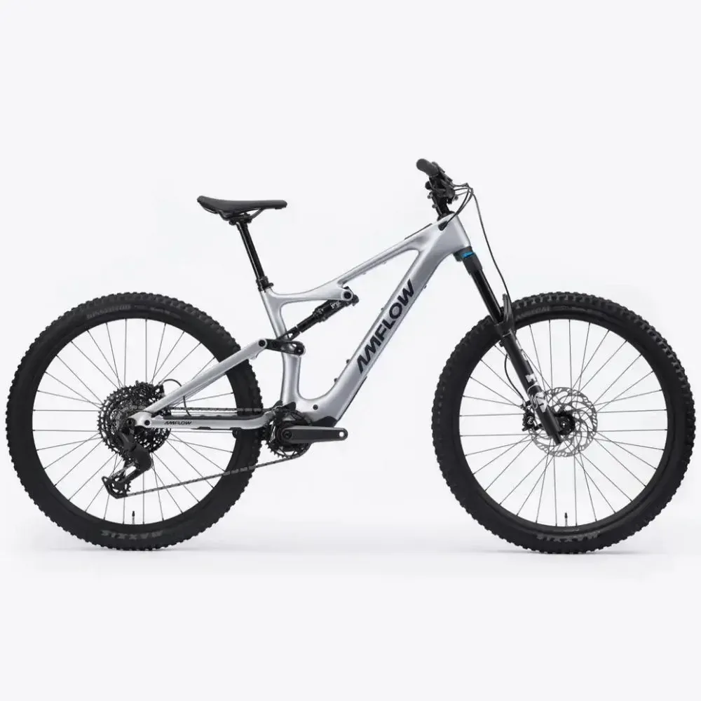 E-MTB