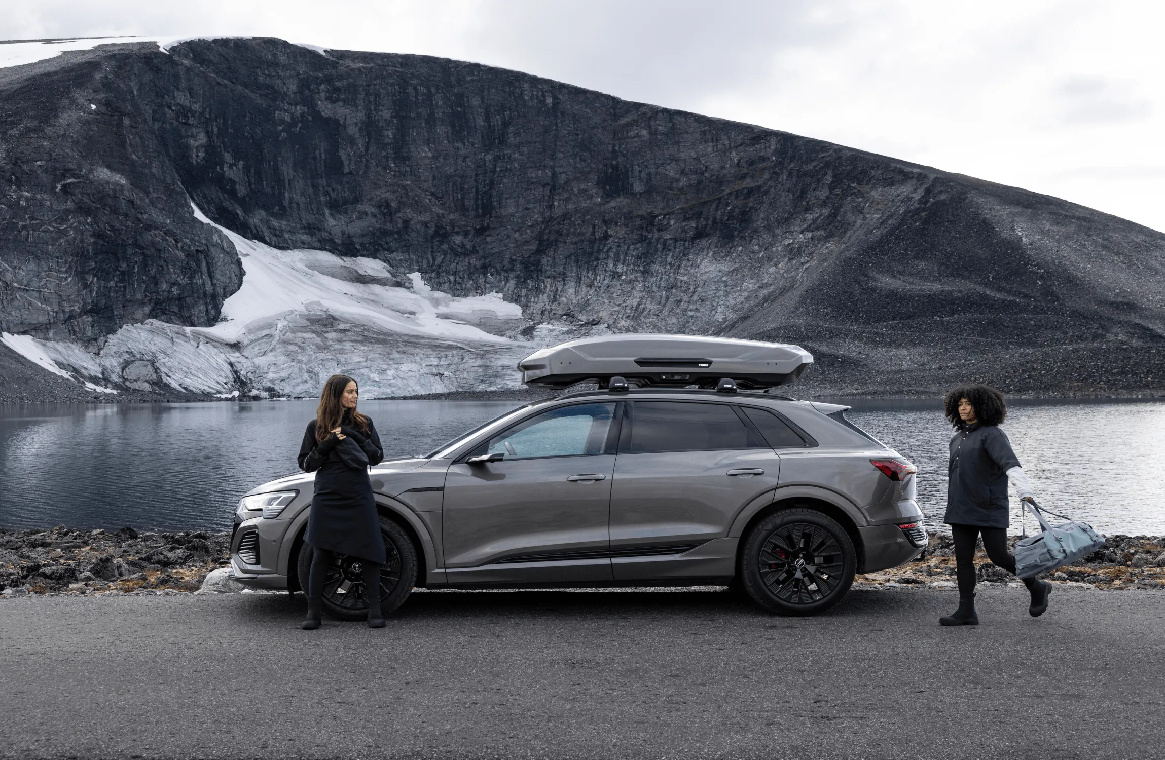 Thule Motion 3 L (Color black)