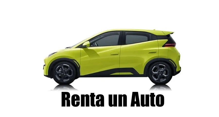 BYD MINI DOLPHIN  ECO 