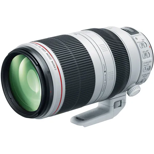 Canon EF 100-400mm f/ 4-5.6 II IS