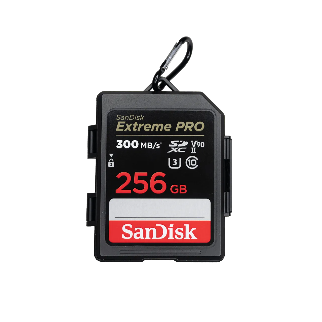 SD Card v30