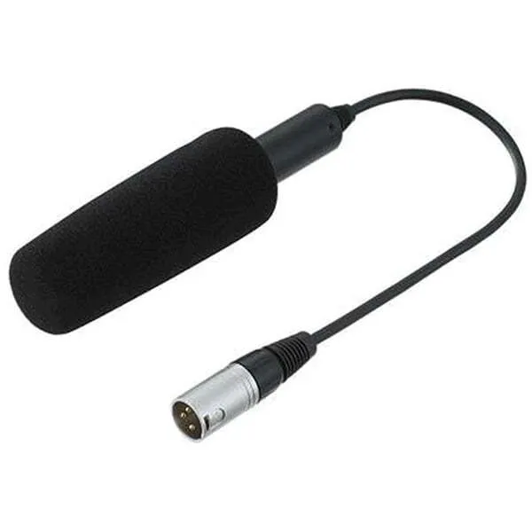 Short On Camera Shotgun Mic