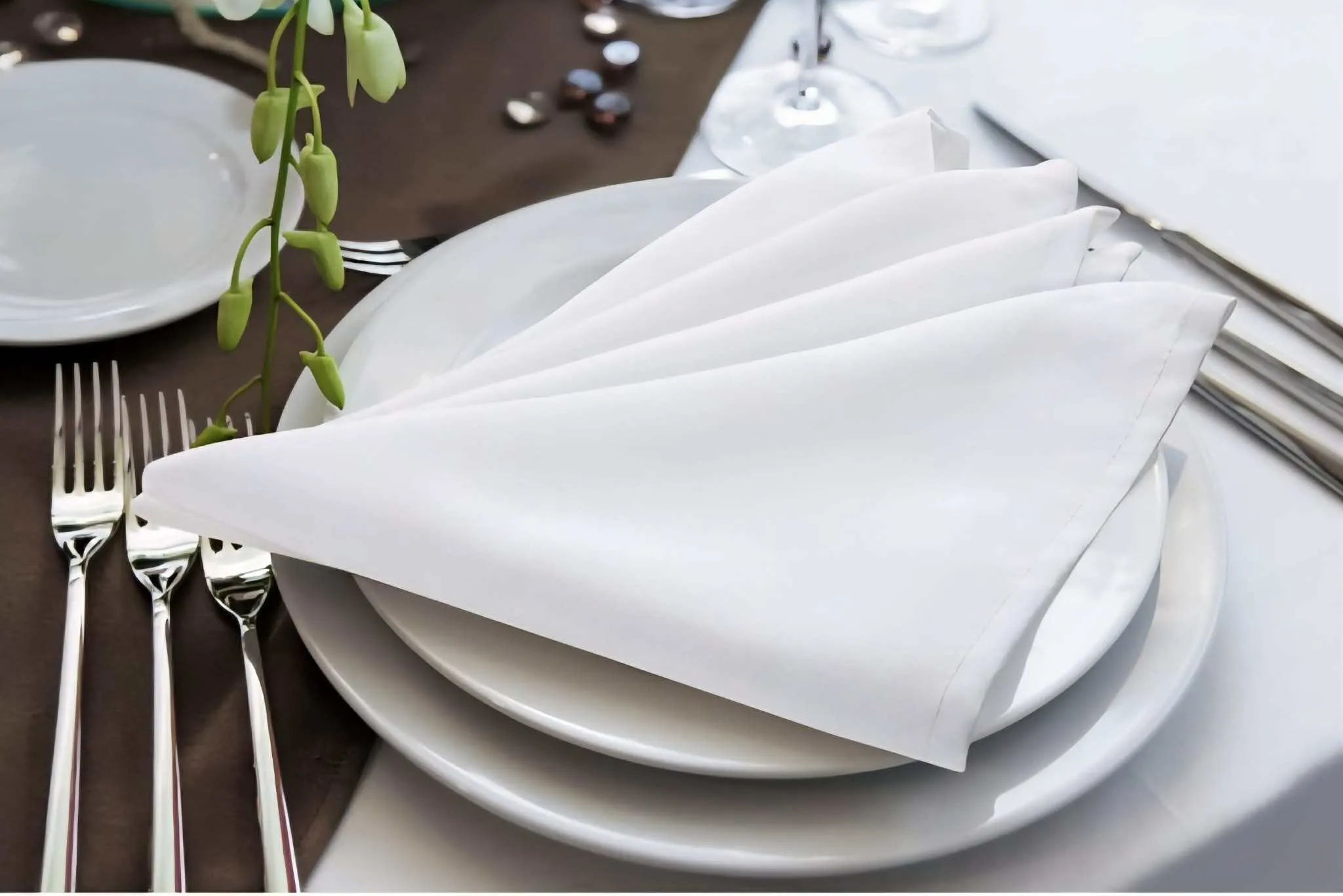 Cloth Napkins - White