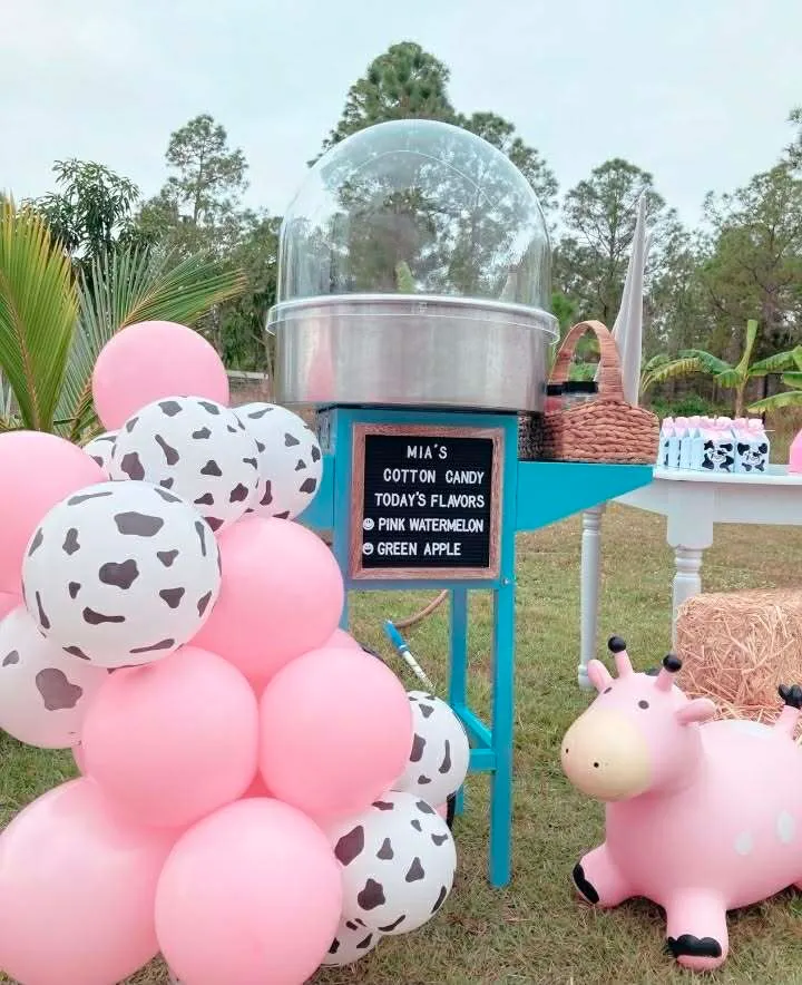 Cotton Candy Machine - color TBA