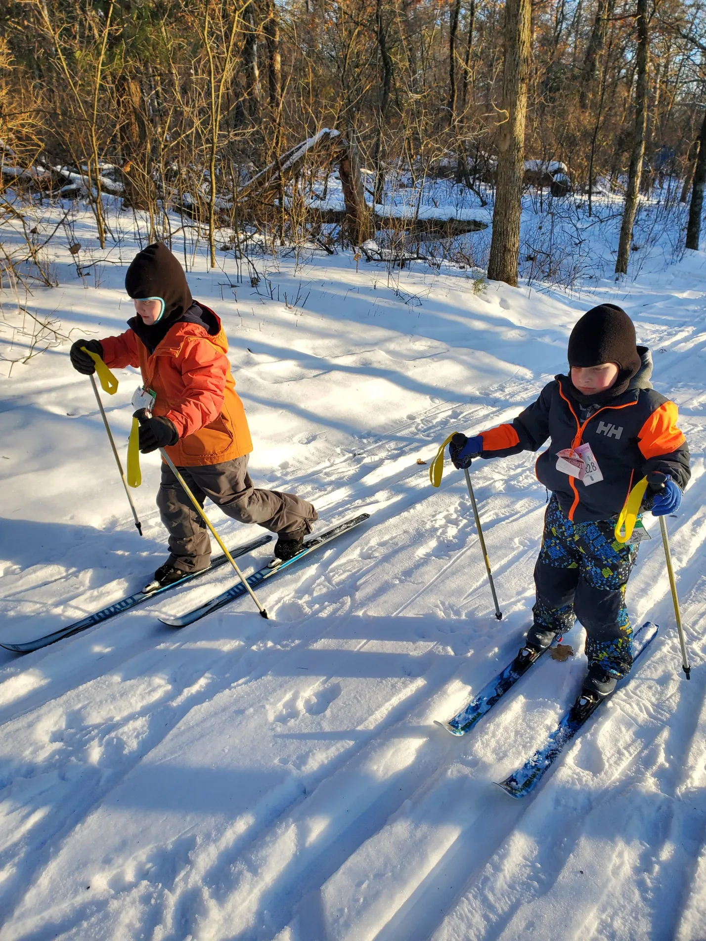 Cross Country Ski Rentals collection image