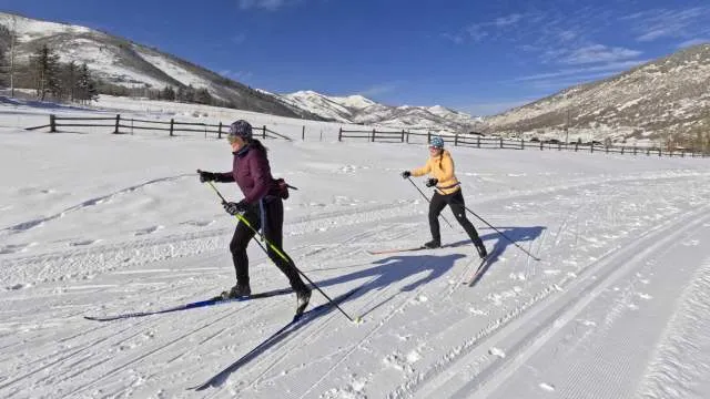 Cross Country Ski Tours collection image