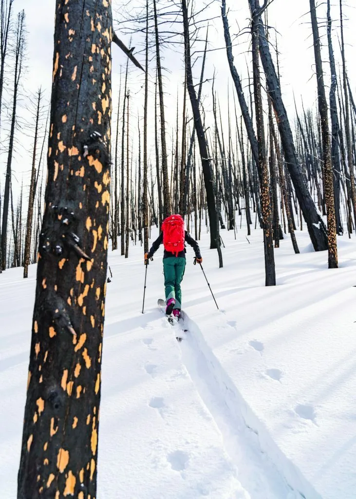 6 Person Nordic Ski Tour
