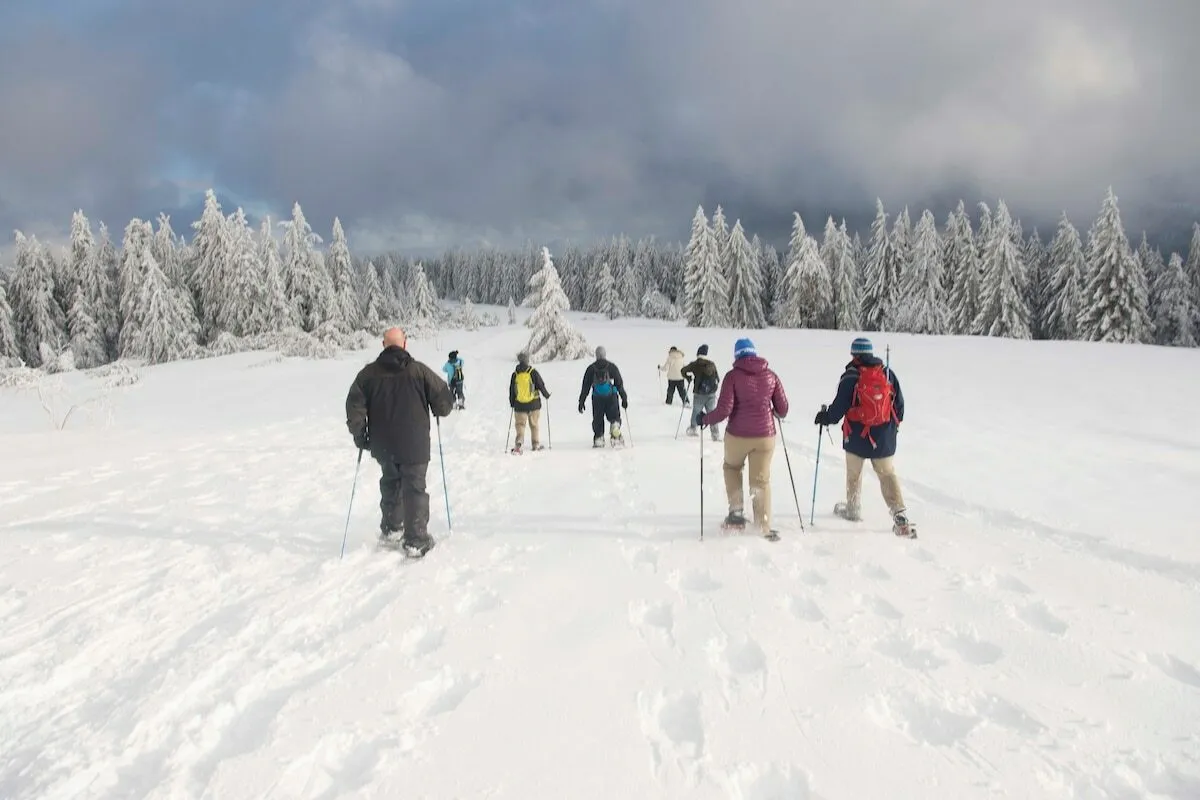 Snowshoe Rental (200-240lbs)