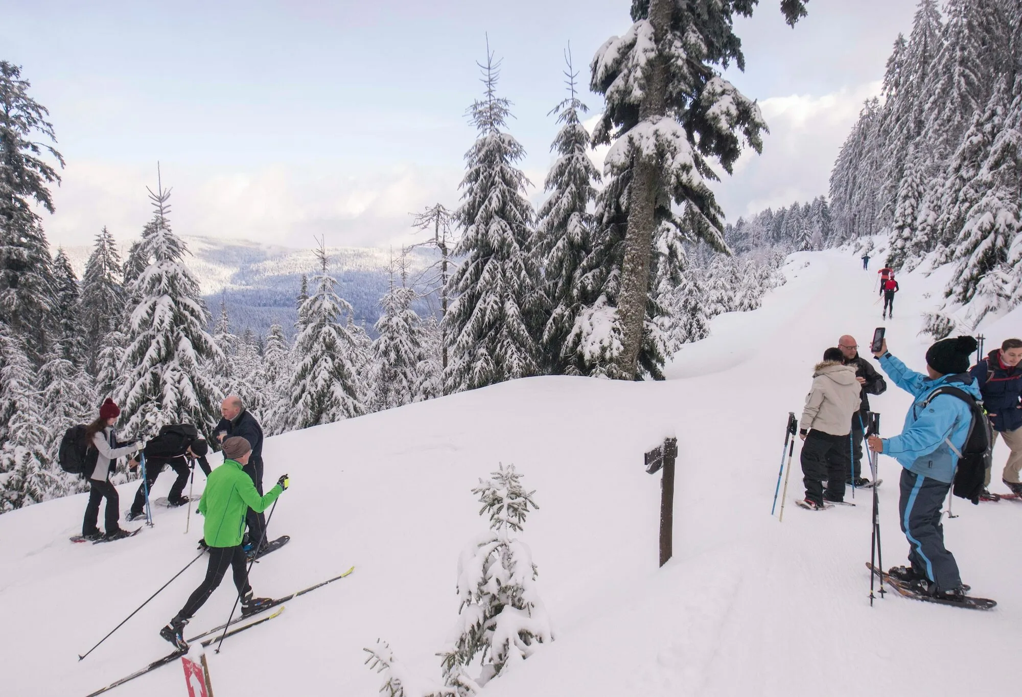 Snowshoe Rental (40-60lbs)
