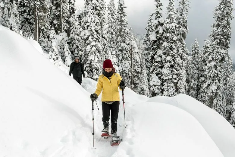 5 person Snowshoe Tour