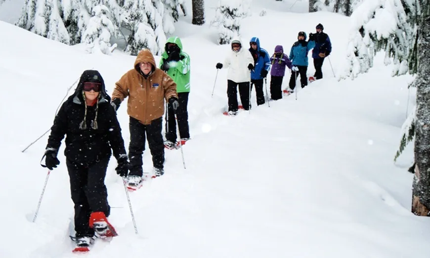 6 Person Snowshoe Tour