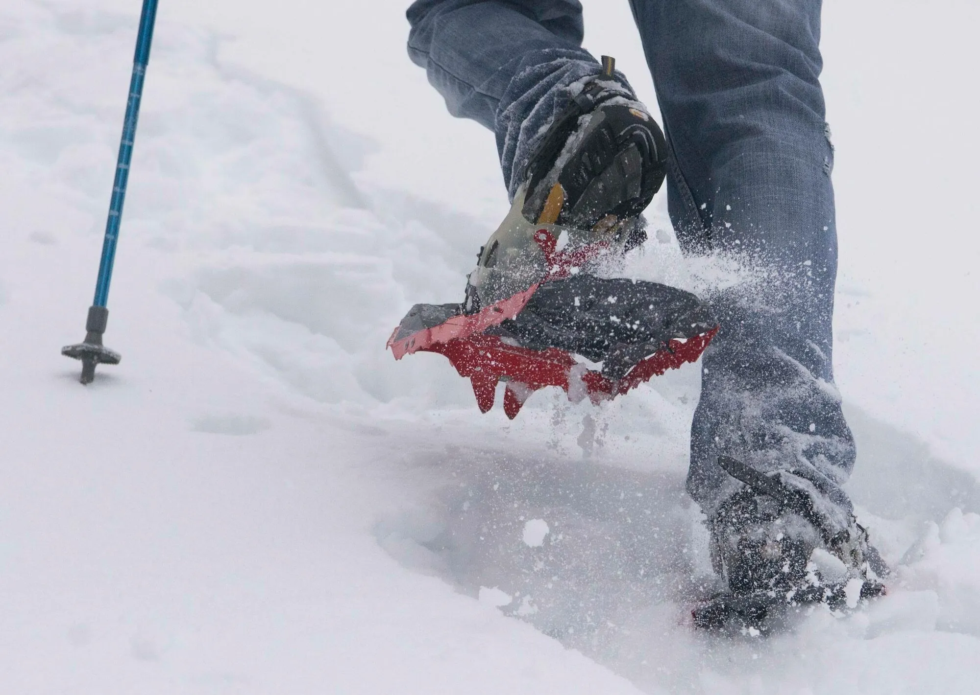 Snowshoe Rental (130-180lbs)