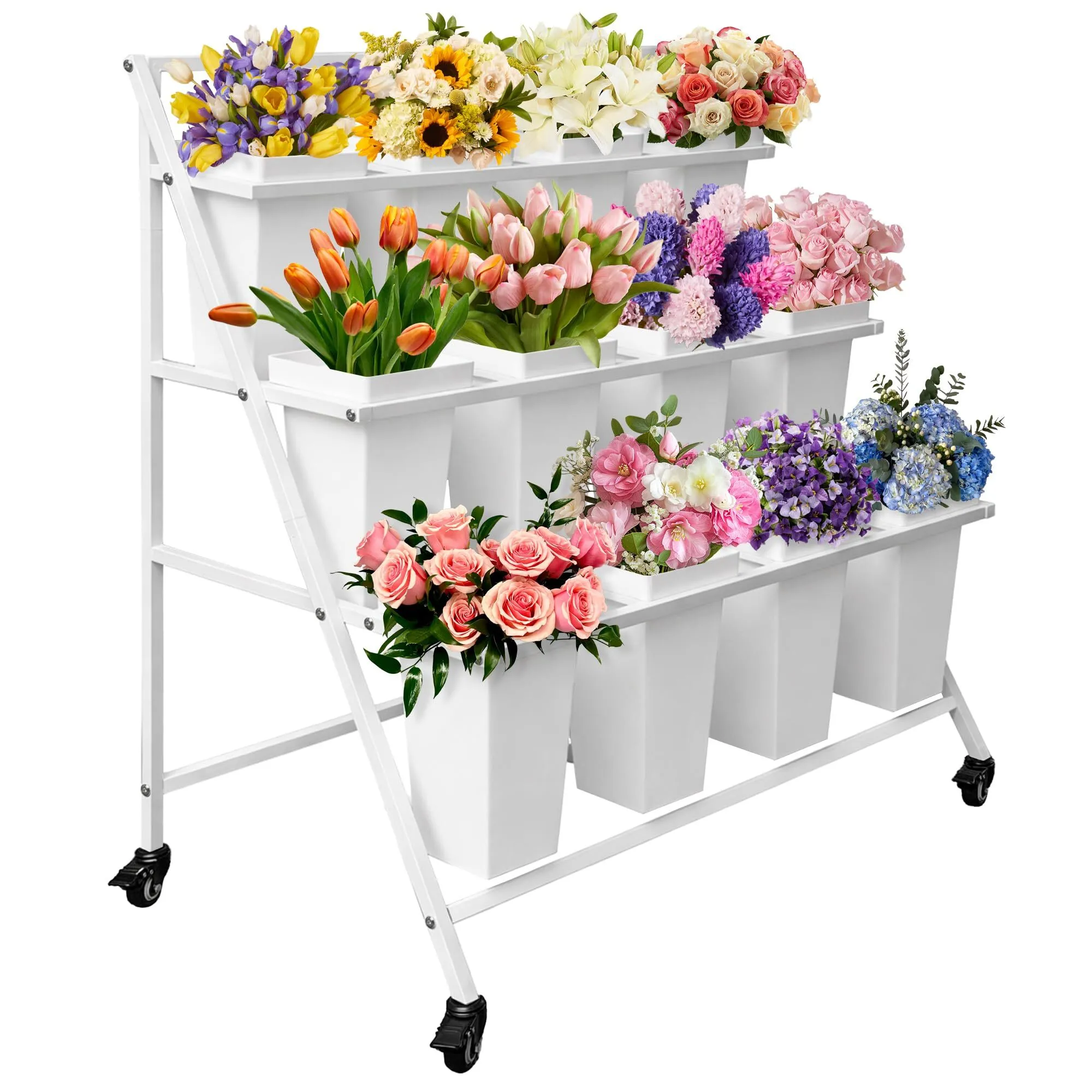 Bloom Display Rack