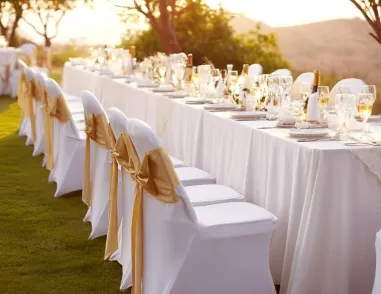 Chairs and Tables