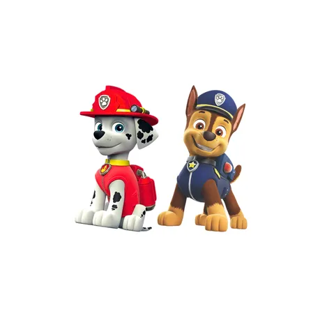 Pat'Patrouille Forex