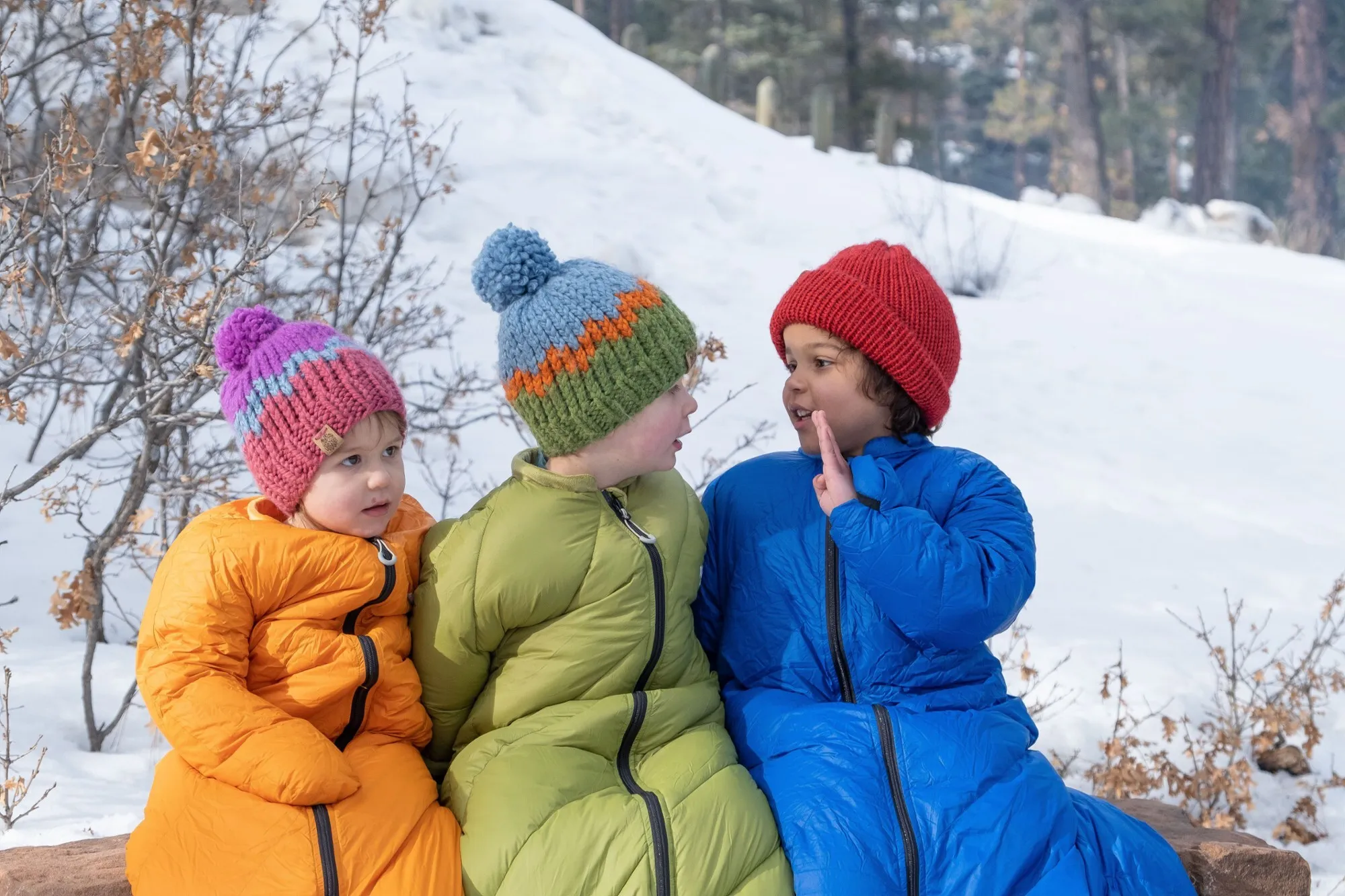 Morrison Outdoors Sleeping Bags collection image