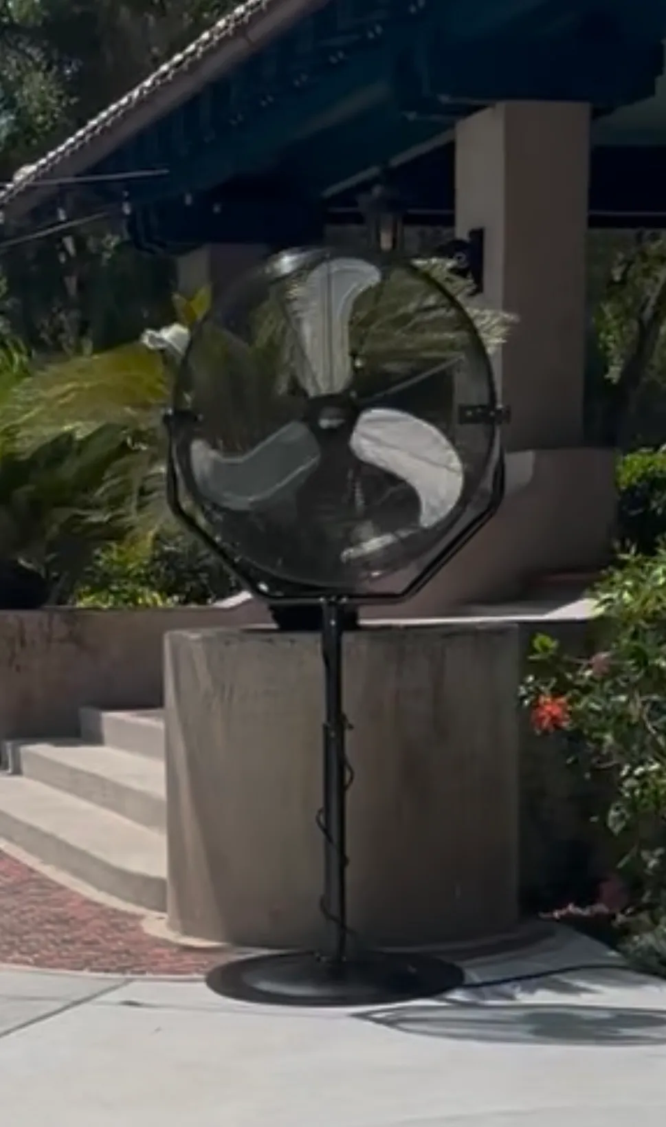 Fans (30" Large pedestal fans)