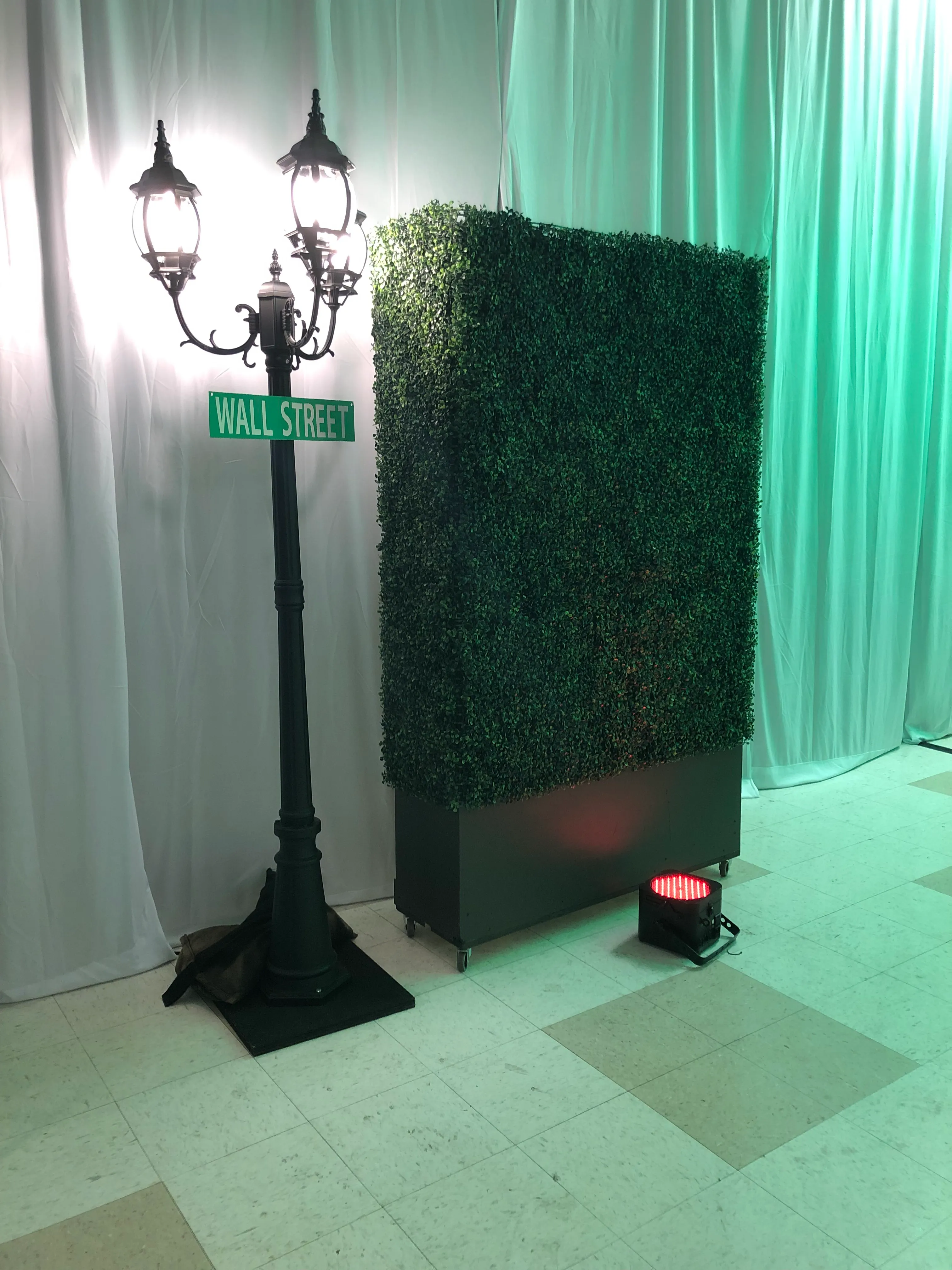 Hedge Walls