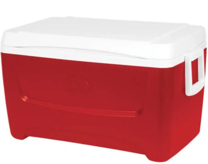 Medium sized cooler 